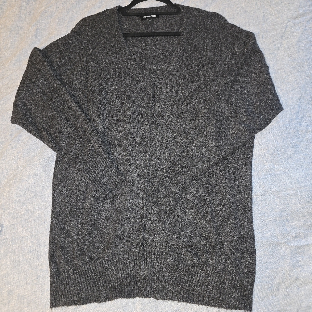 Express charcoal v-neck sweater